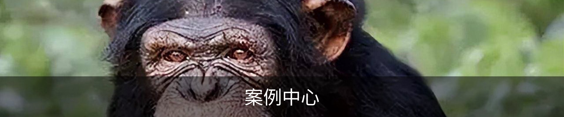 案例中心